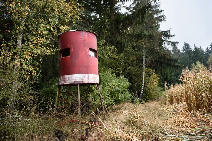 My 56 Pics Of Unusual Gamekeeper's Hides