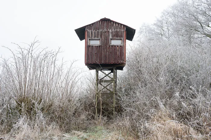 My 56 Pics Of Unusual Gamekeeper's Hides