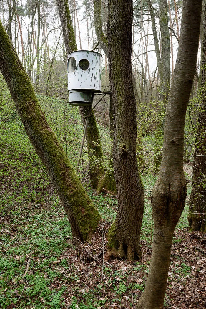 My 56 Pics Of Unusual Gamekeeper's Hides