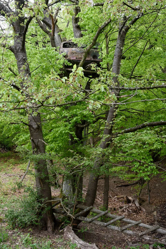 My 56 Pics Of Unusual Gamekeeper's Hides