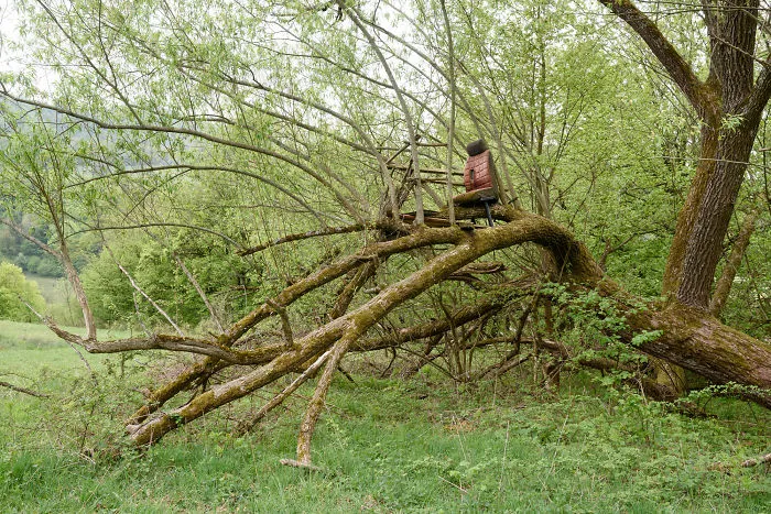 My 56 Pics Of Unusual Gamekeeper's Hides