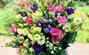 Most Expensive Flowers Around The World