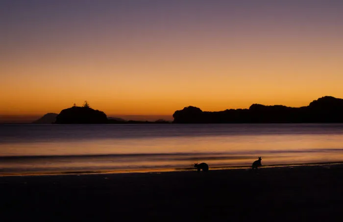 Cape Hillsborough, Queensland