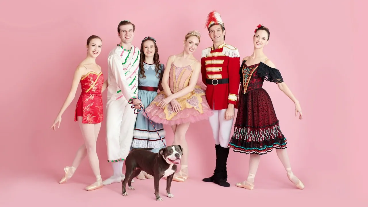 This “Muttcracker” Photoshoot Features Homeless Pets As Dancing Stars