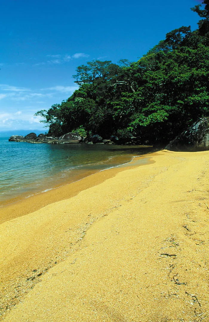Nosy Mangabe Yellow Beach