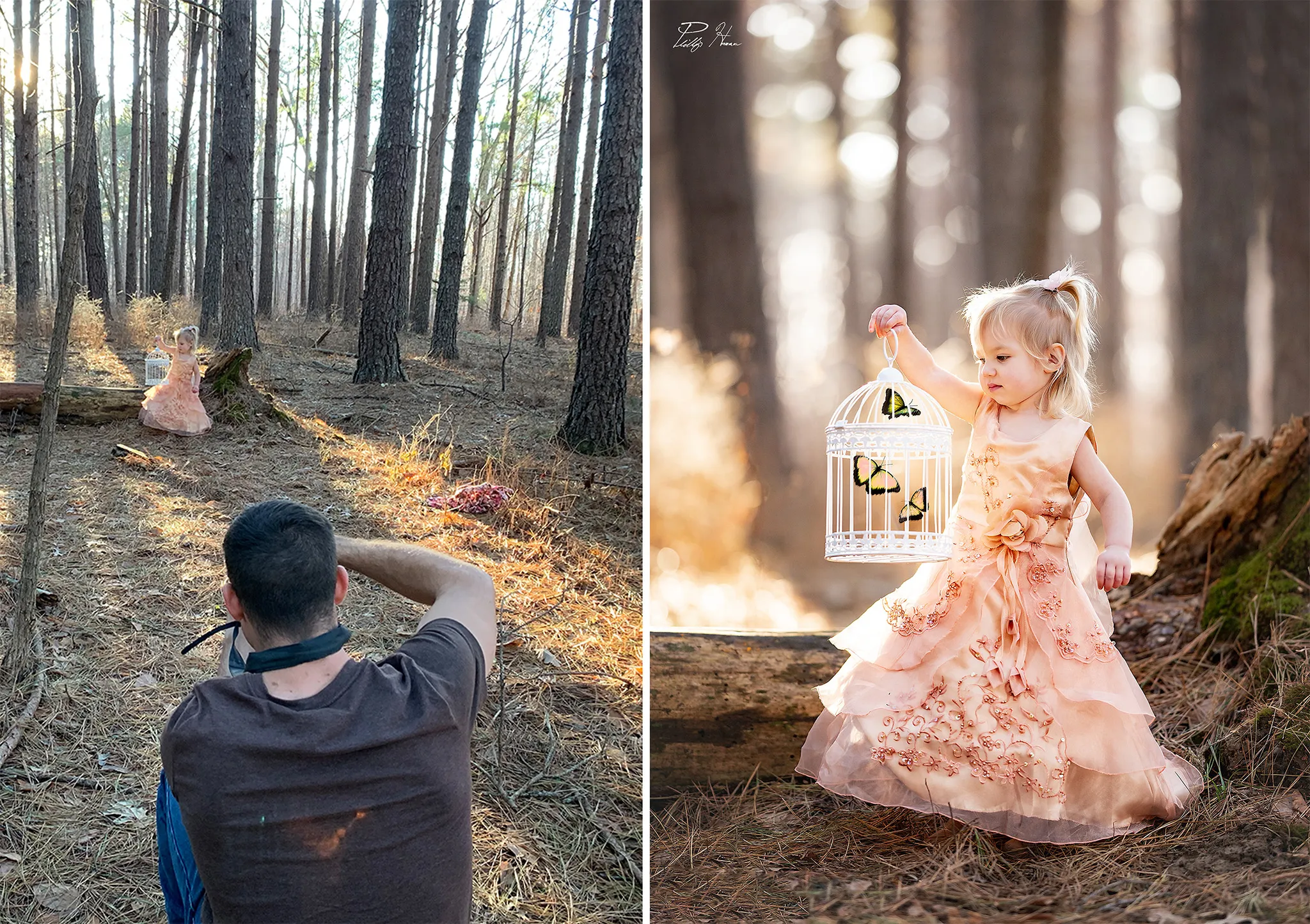 I Did A Fairytale Themed Photoshoot For My Daughter's 2nd Birthday And The Results Will Melt Your Heart