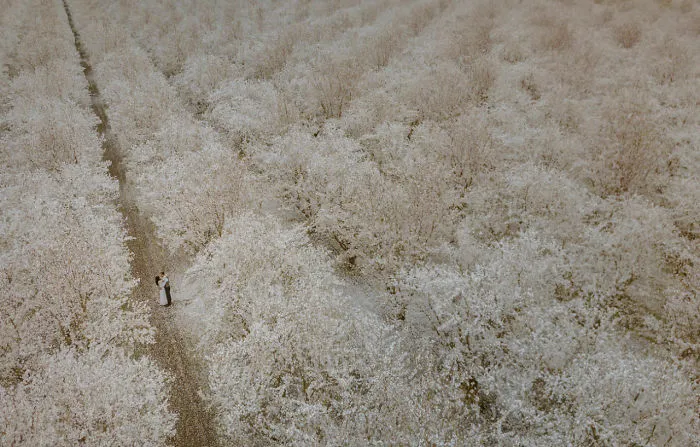 Field