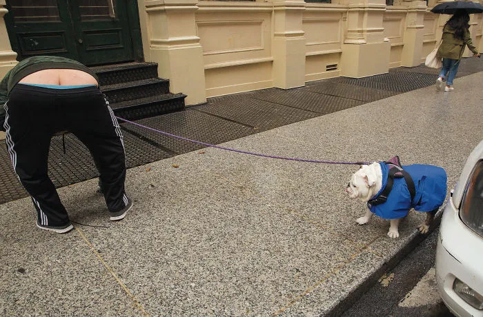 30 Amusing Dog Pics Captured By A Street Photographer Who Is A Pro At Spotting Perfectly Timed Moments