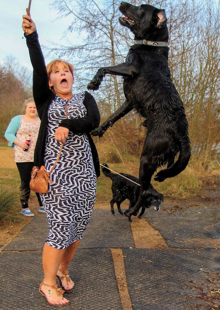 30 Amusing Dog Pics Captured By A Street Photographer Who Is A Pro At Spotting Perfectly Timed Moments