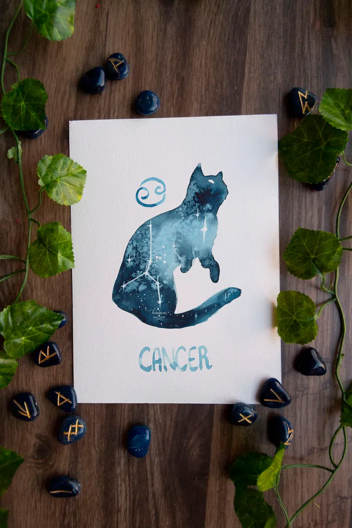 I Painted Twelve Zodiac Sign Constellations As Cats