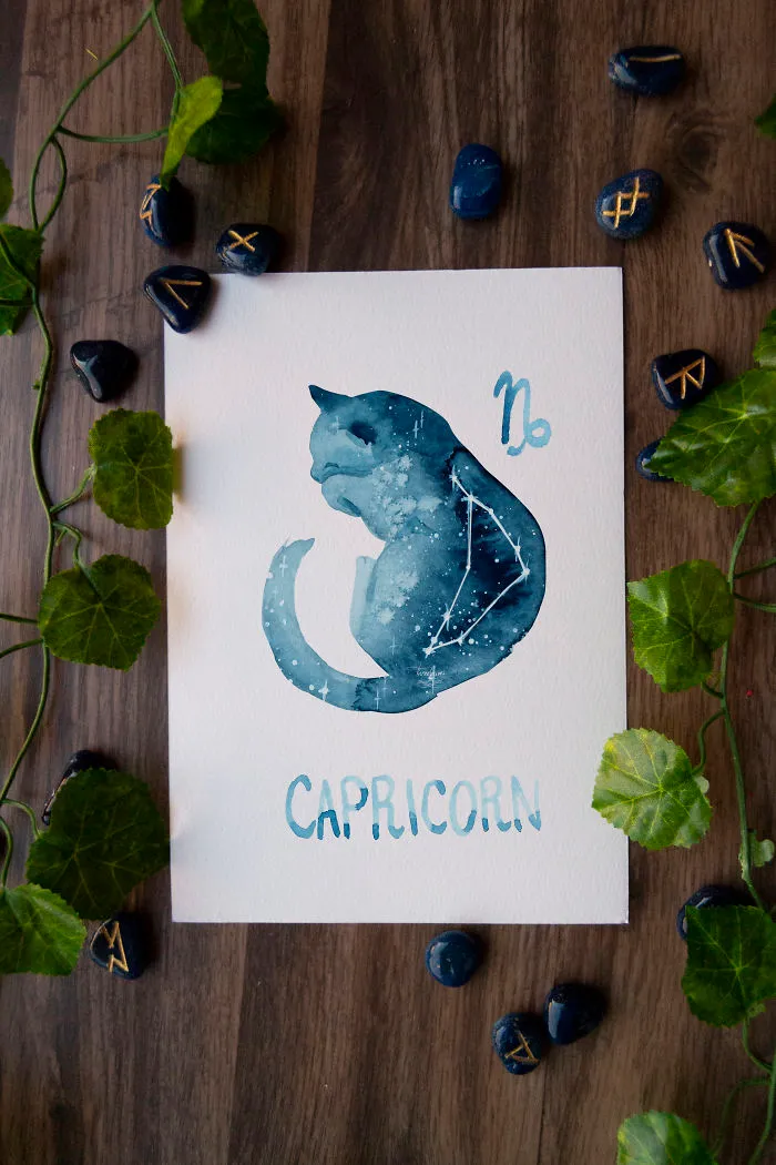 I Painted Twelve Zodiac Sign Constellations As Cats