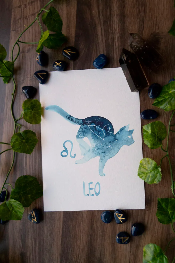 I Painted Twelve Zodiac Sign Constellations As Cats