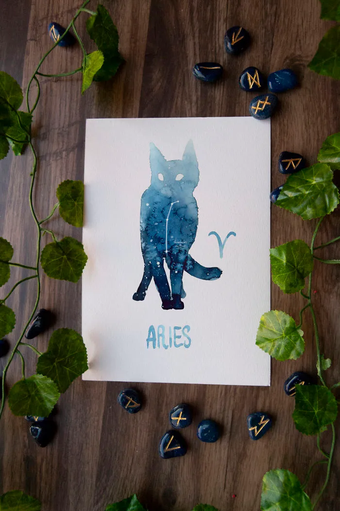 I Painted Twelve Zodiac Sign Constellations As Cats