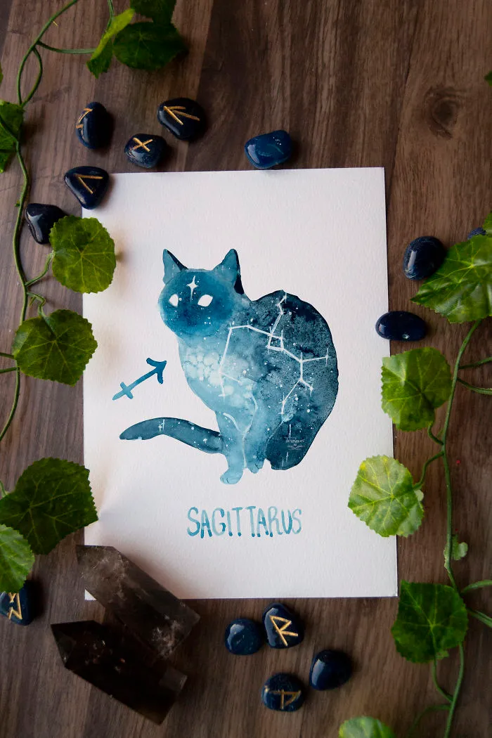 I Painted Twelve Zodiac Sign Constellations As Cats