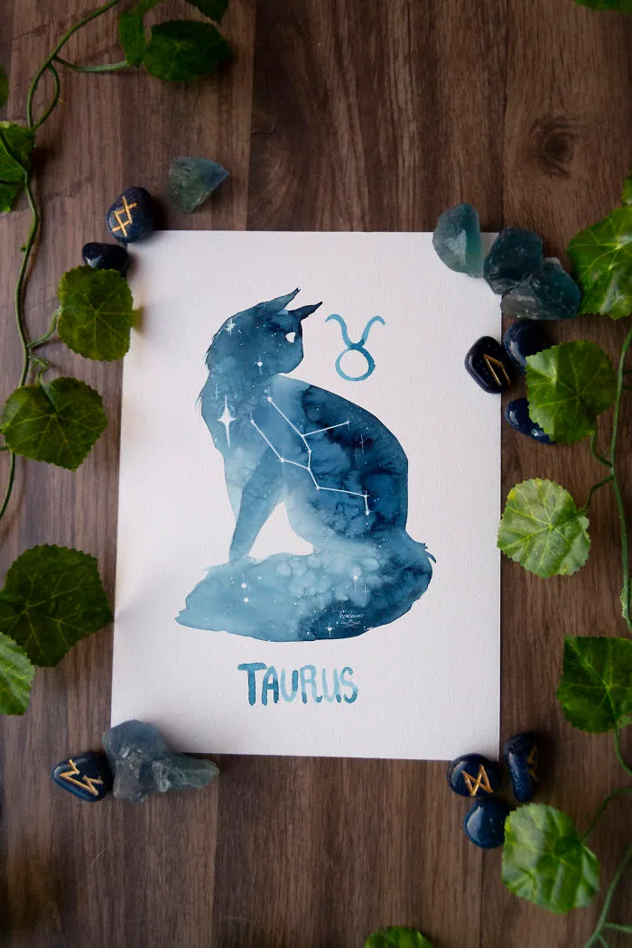 I Painted Twelve Zodiac Sign Constellations As Cats