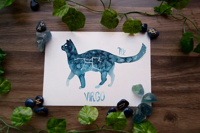 I Painted Twelve Zodiac Sign Constellations As Cats