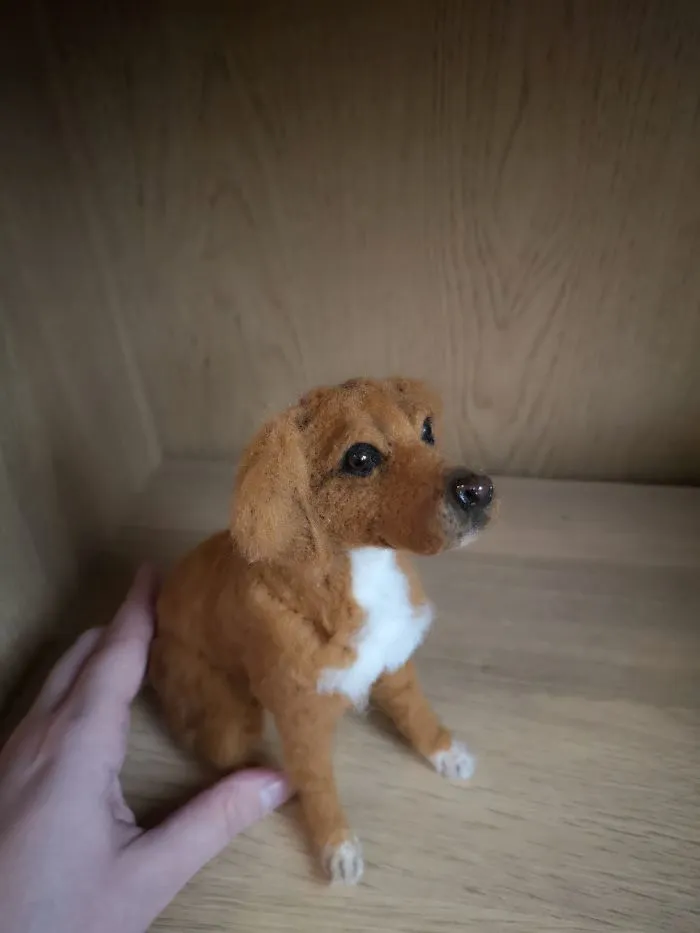 Working Progress Of A Spaniel Mix.