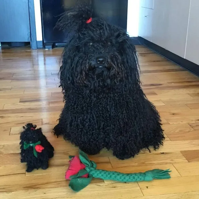 Real vs. Mini Replica