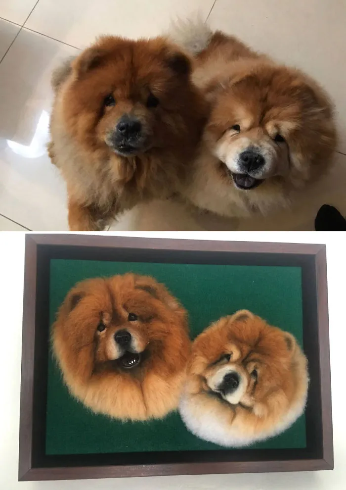 I Create Realistic Pet Portraits From Felted Wool