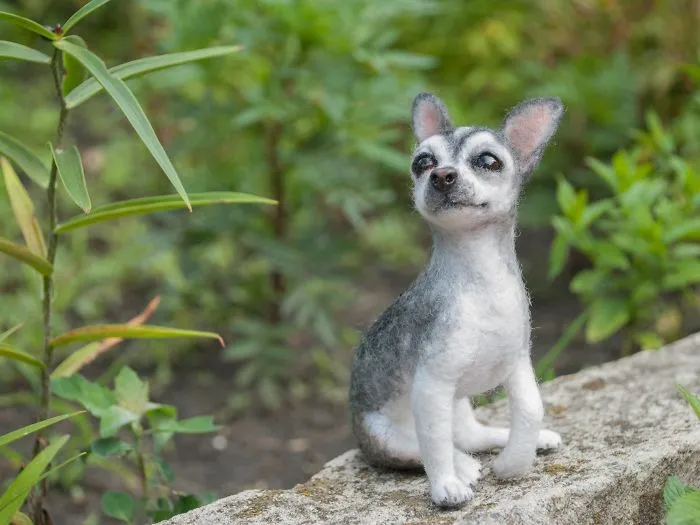 I Create Realistic Pet Portraits From Felted Wool