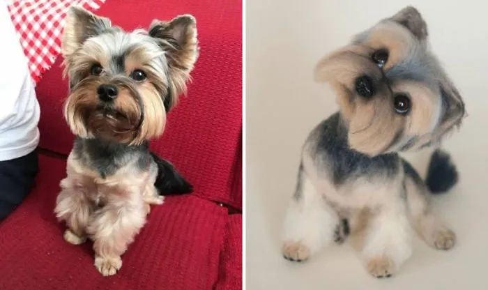 Unreal Living Portraits That Keep The Souls Of Pets!