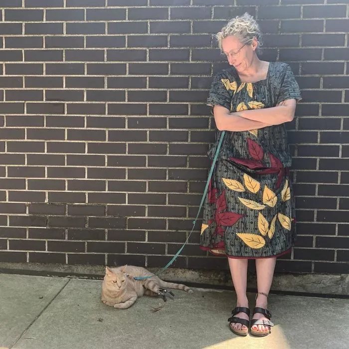 This Cat Got His Both Back Legs Amputated And Here's How His Life Looks Now (30 Pics)