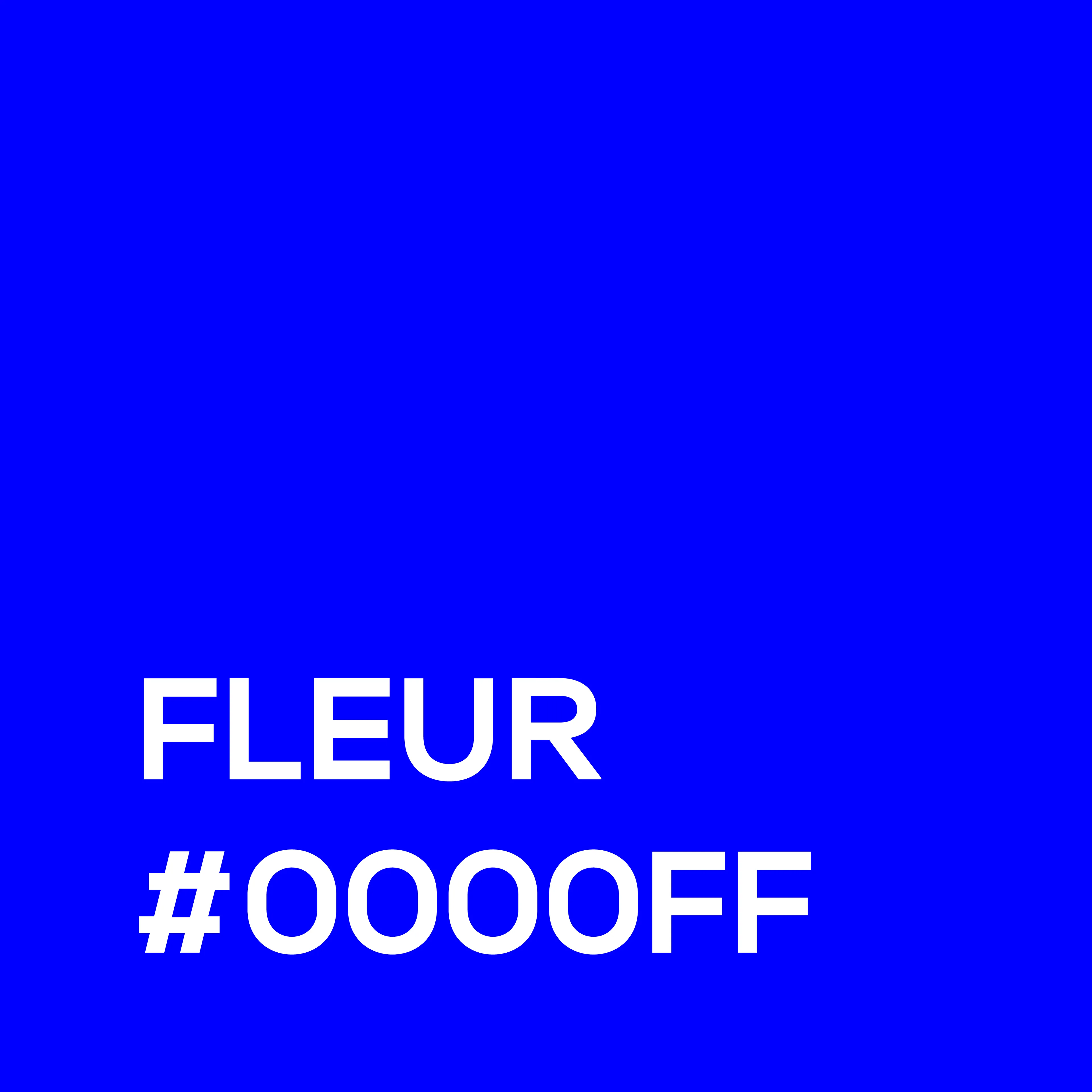French Expressions Turned In Graphic Designer Language (With Rgb Code)