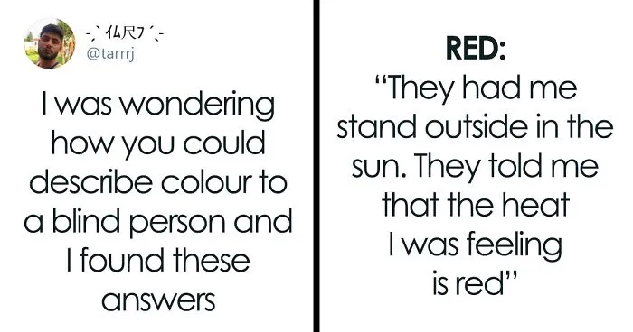Blind Woman Shares How People Explained Colors To Her When She Was Little, Other People Try Explaining Them Too