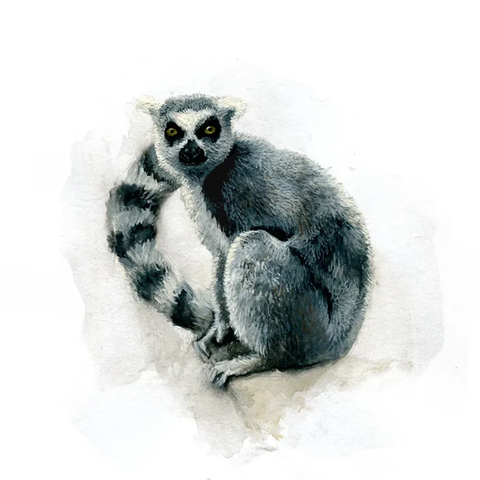One Of My Realistic Painted Animals For Brno Zoo In The Czech Republic