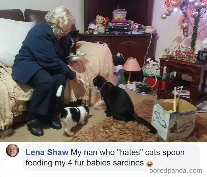 30 People Who Didn’t Want Pets But Changed Their Mind Real Fast