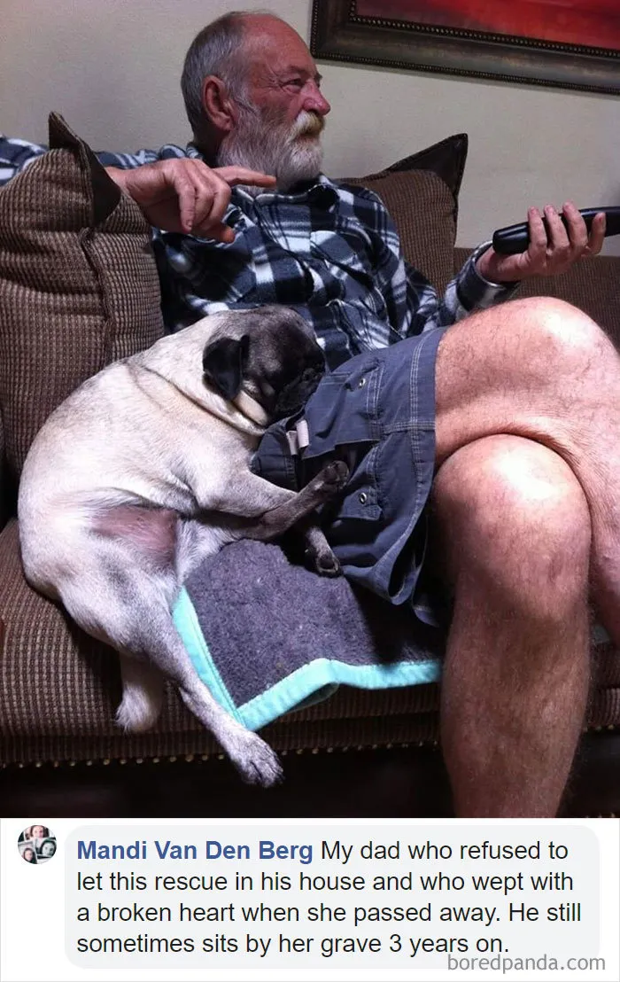 30 People Who Didn’t Want Pets But Changed Their Mind Real Fast