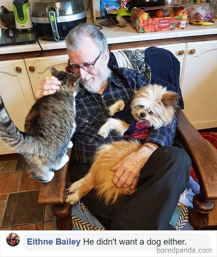 30 People Who Didn’t Want Pets But Changed Their Mind Real Fast