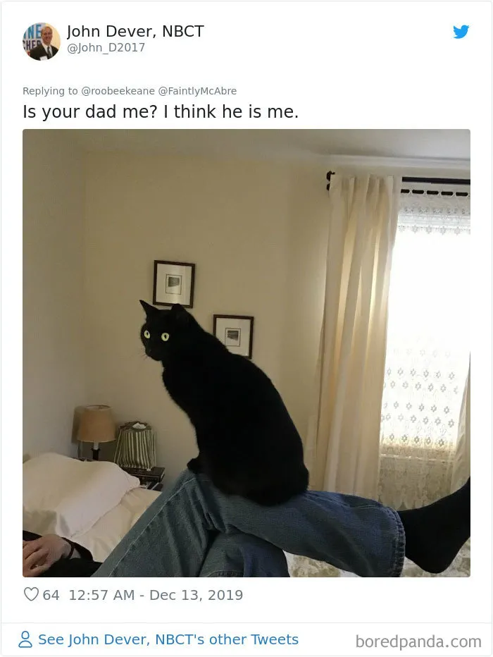 30 People Who Didn’t Want Pets But Changed Their Mind Real Fast