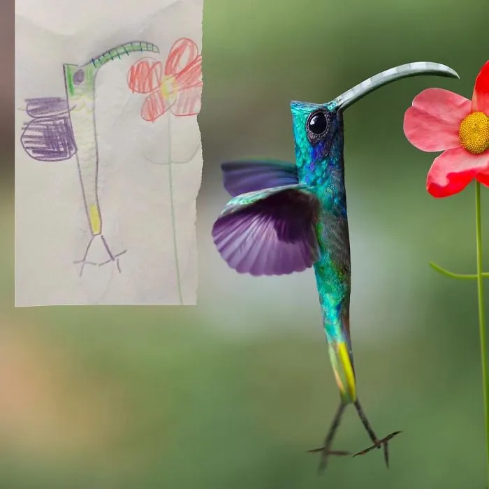 Hummingbird Or Hummingfish?