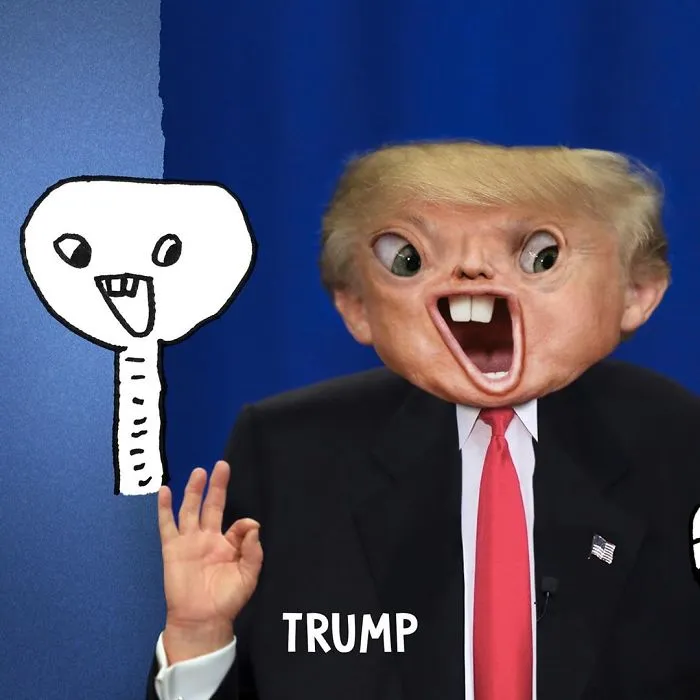 The Trump Card