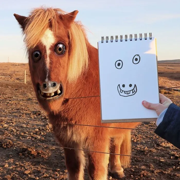 Just A Horse Having War Flashbacks