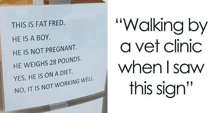Meet Fat Fred, A Cat Who Is Going Viral After Someone Posted Photos Of A Vet Clinic’s Hilarious Sign