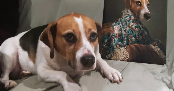 Everybody Is Getting Renaissance Portraits Of Their Pets