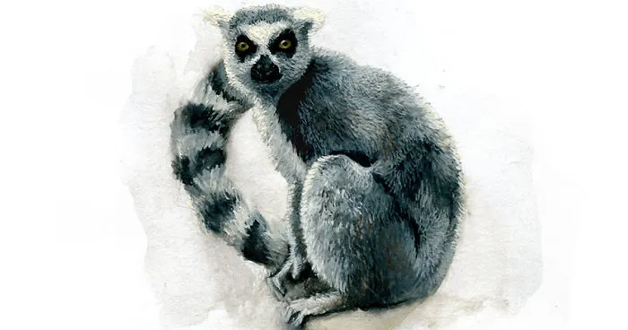One Of My Realistic Painted Animals For Brno Zoo In The Czech Republic