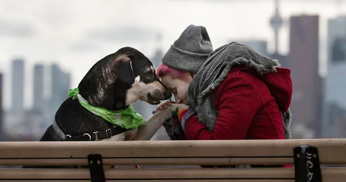 "Don't You Want Me": Photography, Rescue Dogs And Lgbtq