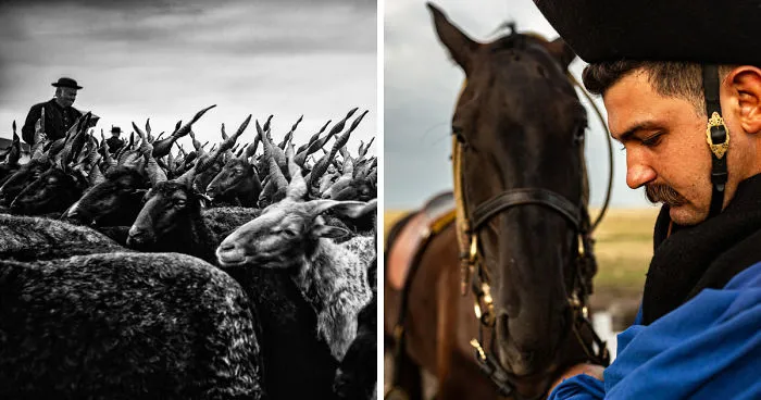 The Life Of The Traditional Shepherds Of Rural Hungary - Guardians Of The Past
