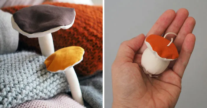 Who Would Known Having Mushrooms In Your Closet Could Smell So Nice?