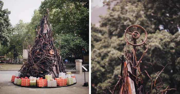 Burnt Christmas Tree In Australia