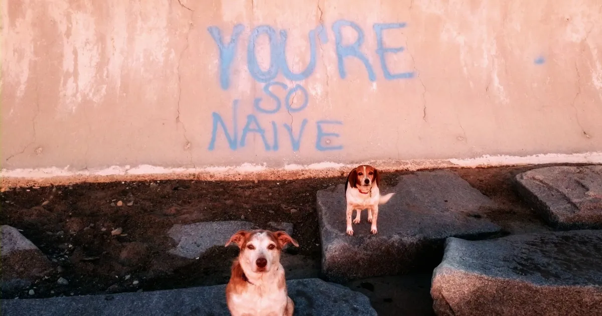 Dogs Document Lame Graffiti And Trash Found On Beach In The Summer