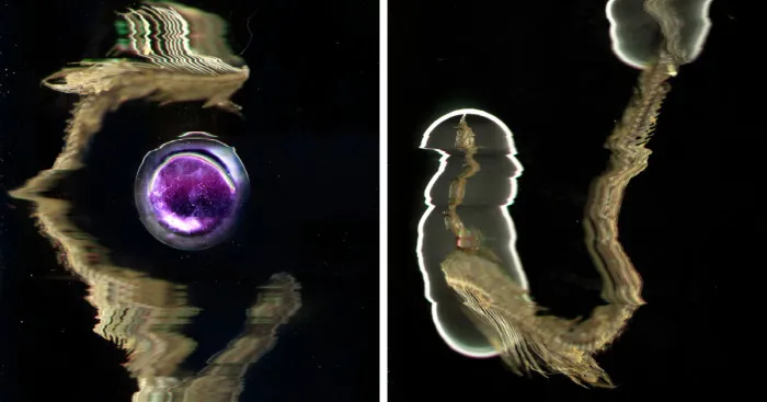 I Created A Fishy Magic Space Portal
