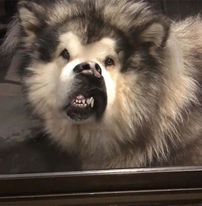 Trying To Get A Closer Look