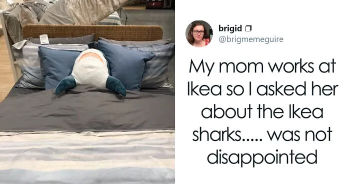 22 Times IKEA Customers Spotted Shark Plushies "Doing Human Things" At Their Stores