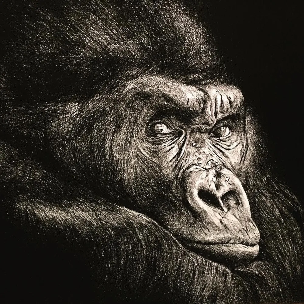 This Is My Last Drawing : The Monkey