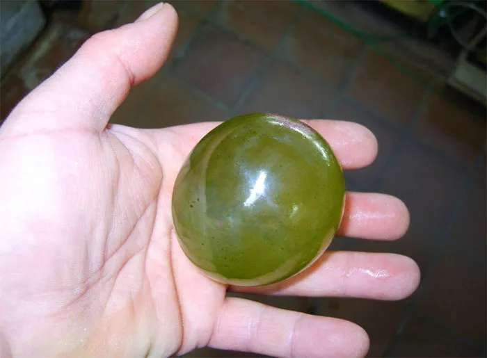 Valonia Ventricosa, el mayor organismo unicelular del planeta. Es una célula viviente