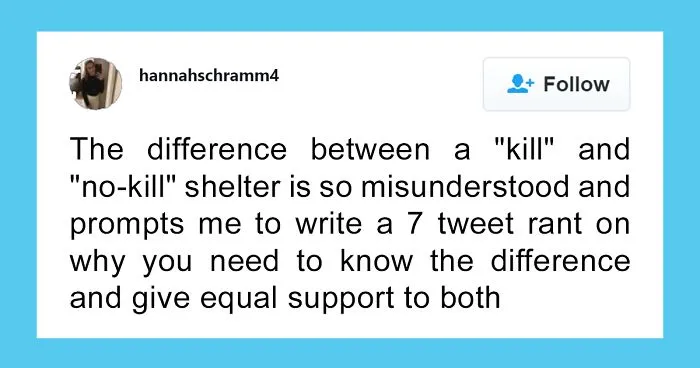 This Girl Explained The Difference Between A ‘Kill’ And ‘No-Kill’ Animal Shelter And It’s Eye-Opening